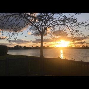 Meet your Posher, Janae